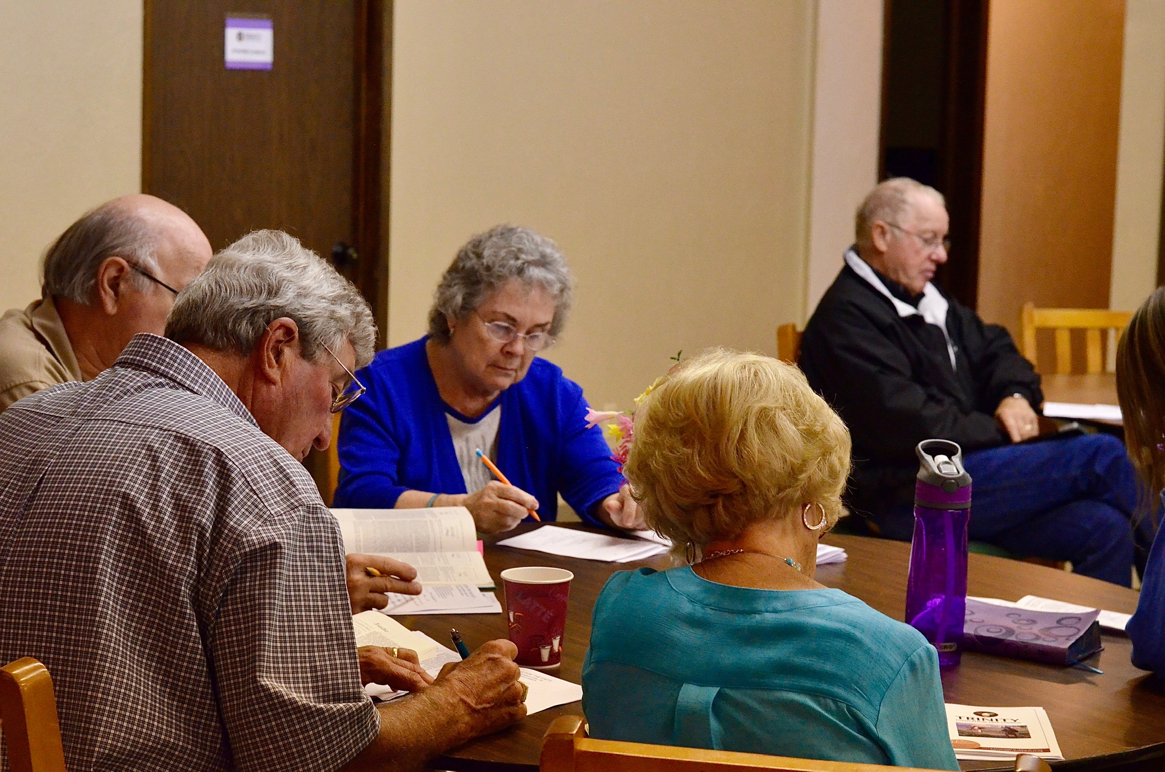 Searching Scriptures